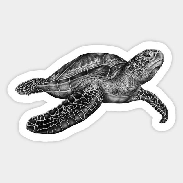 Sea Turtle Sticker by Tim Jeffs Art